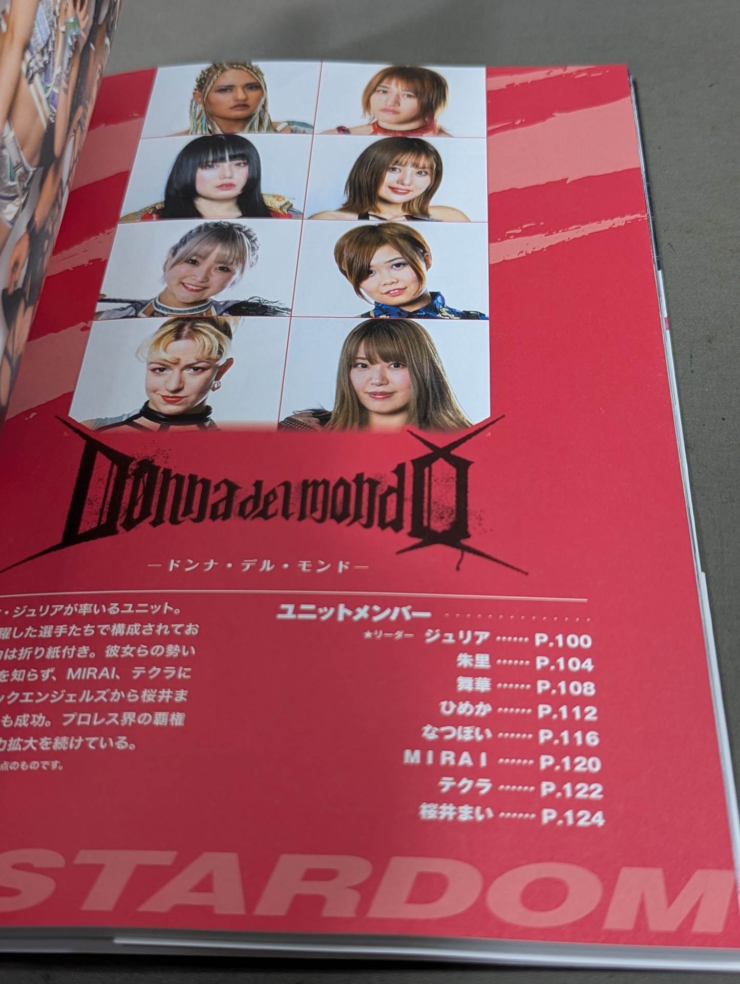 スターダム ファンブック / STARDOM FANBOOK