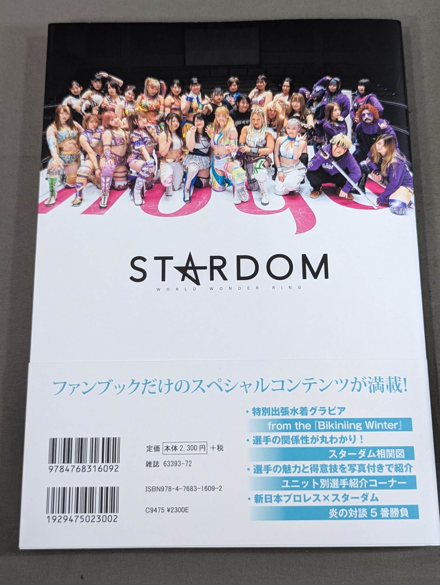 スターダム ファンブック / STARDOM FANBOOK