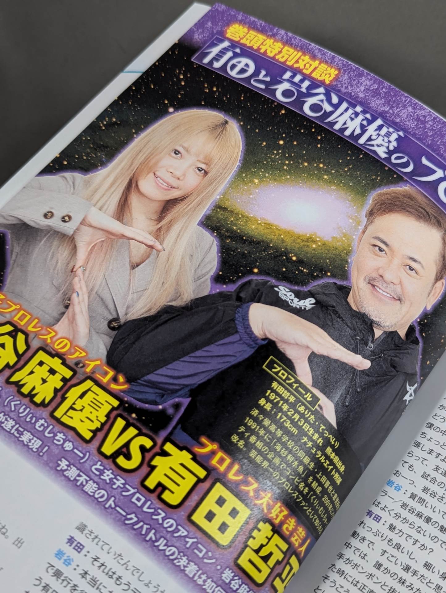 スターダム ファンブック2 / STARDOM FANBOOK 2