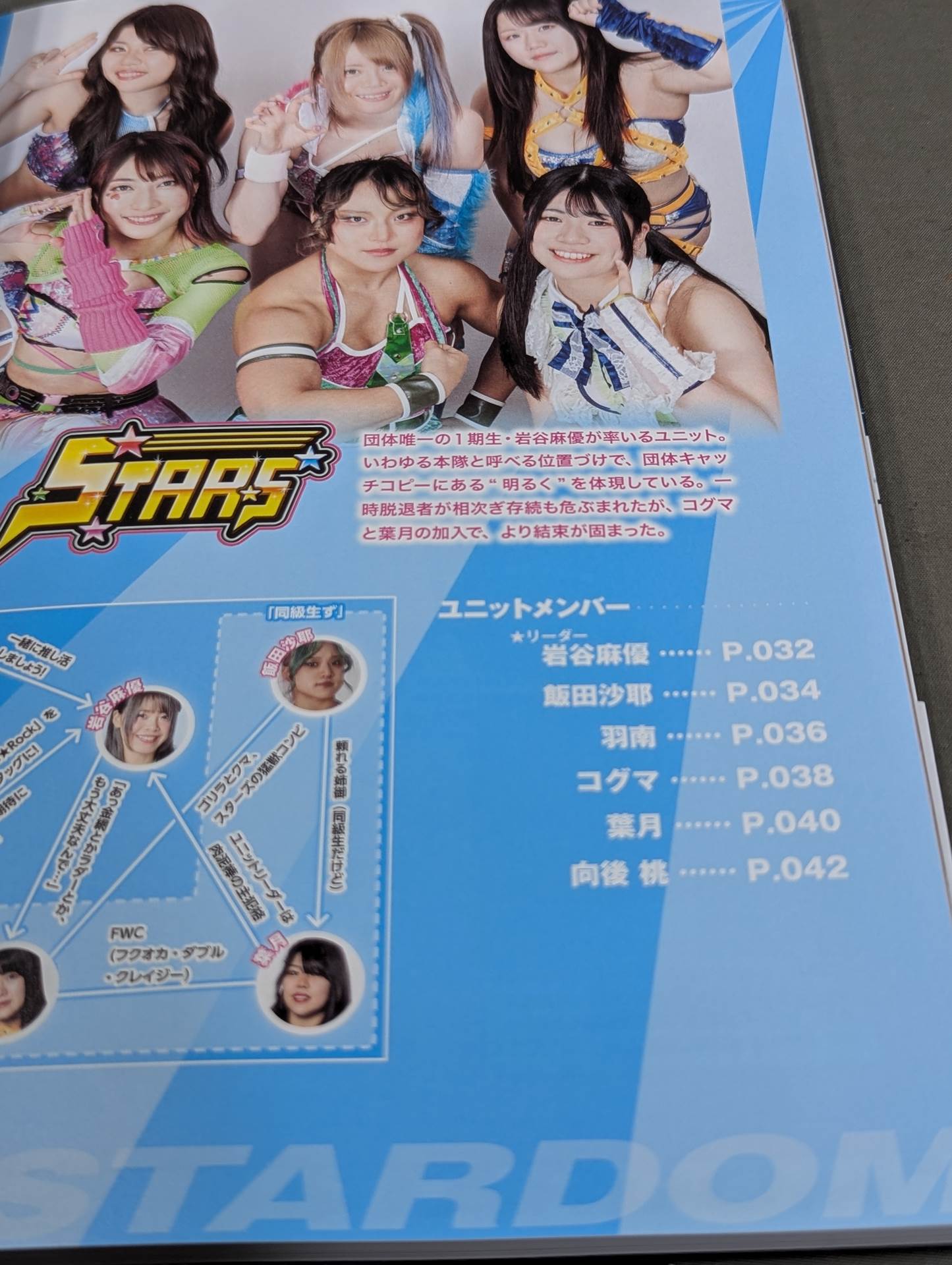 スターダム ファンブック2 / STARDOM FANBOOK 2