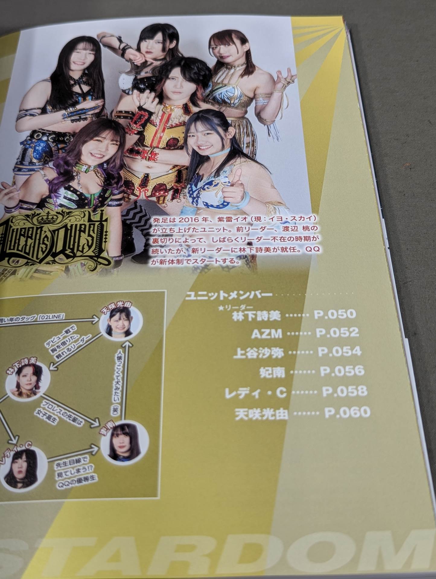 スターダム ファンブック2 / STARDOM FANBOOK 2