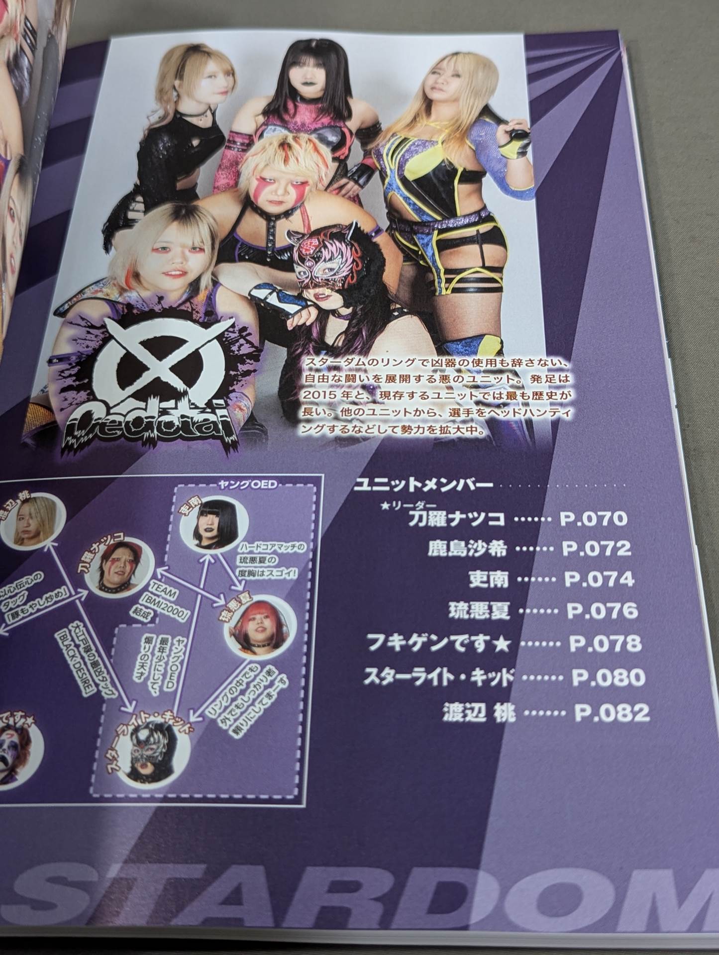 スターダム ファンブック2 / STARDOM FANBOOK 2