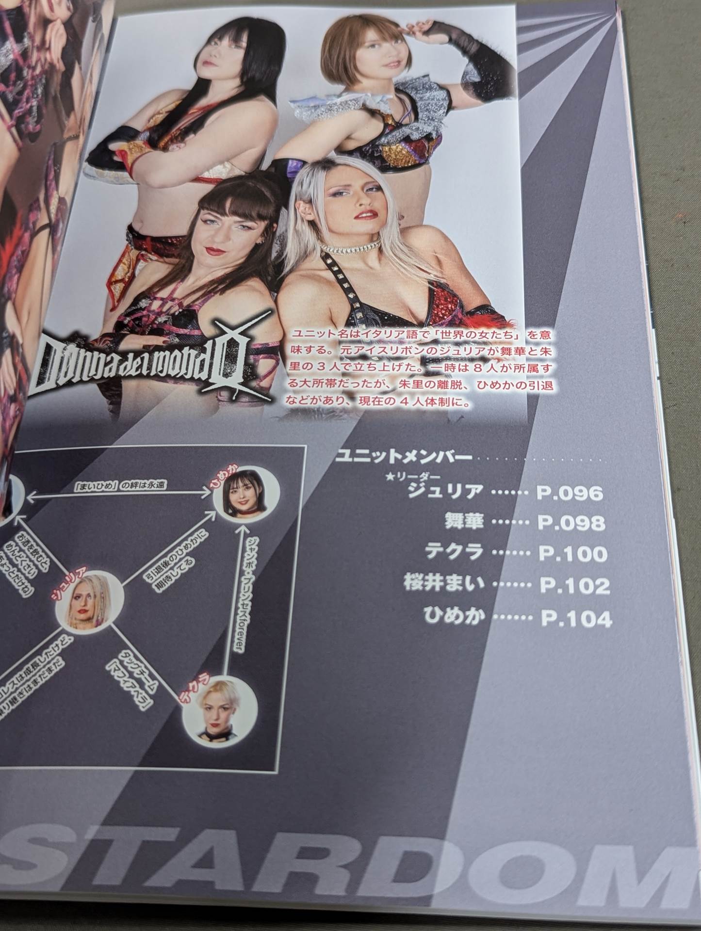 スターダム ファンブック2 / STARDOM FANBOOK 2