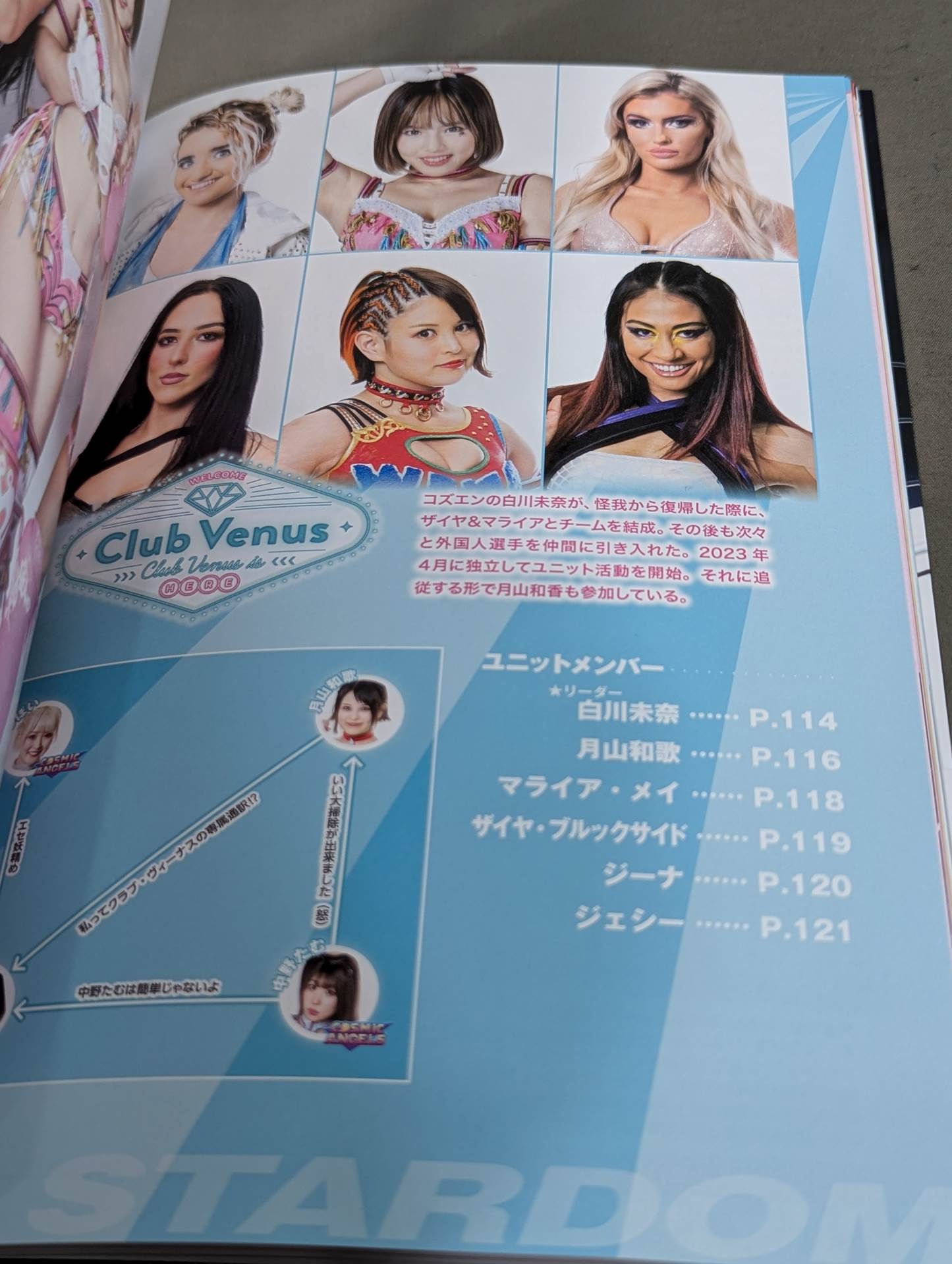 スターダム ファンブック2 / STARDOM FANBOOK 2