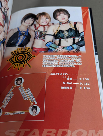 スターダム ファンブック2 / STARDOM FANBOOK 2