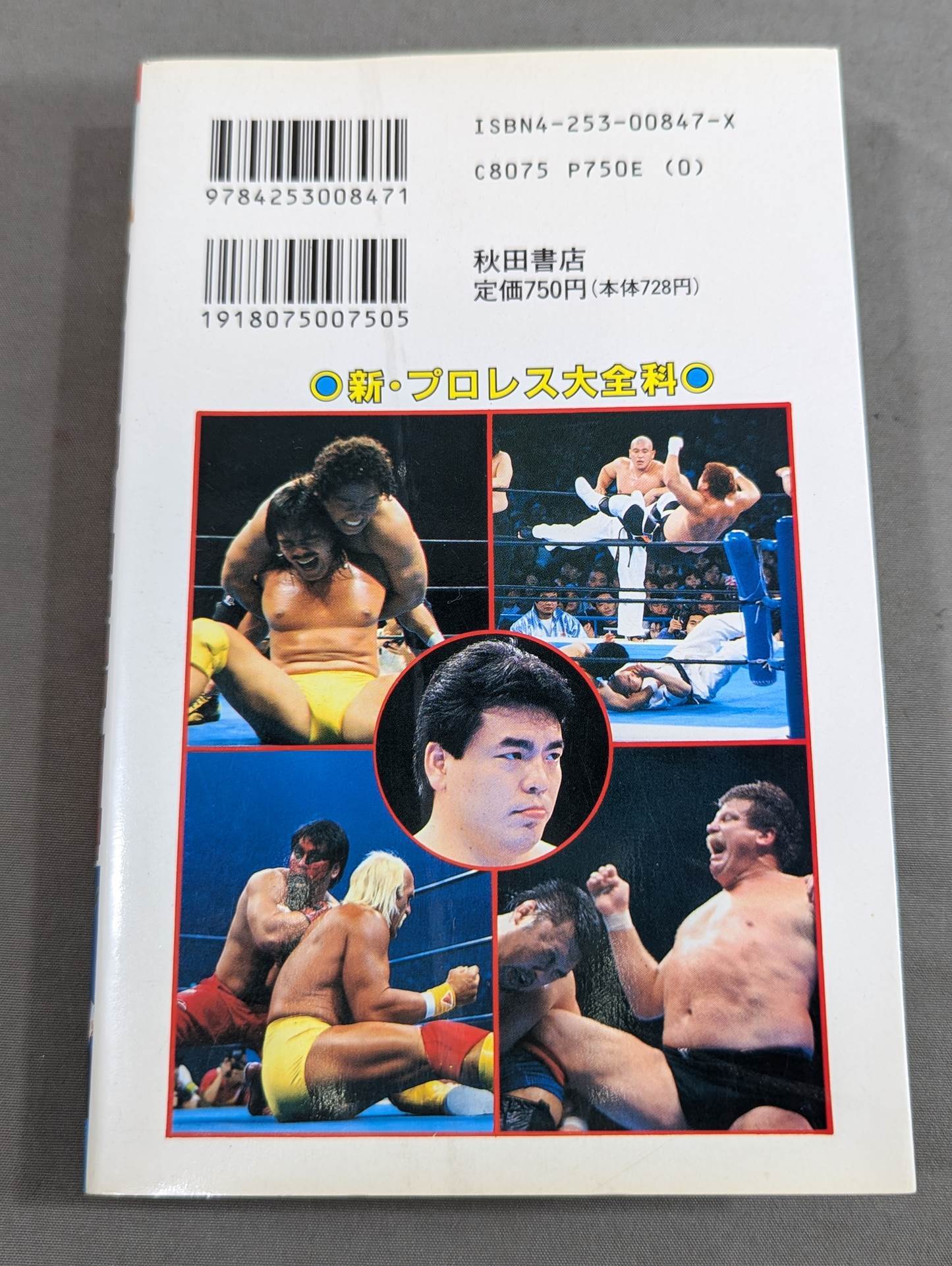 New Pro Wrestling