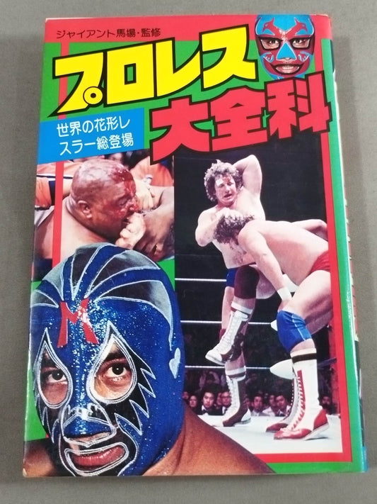 Pro Wrestling