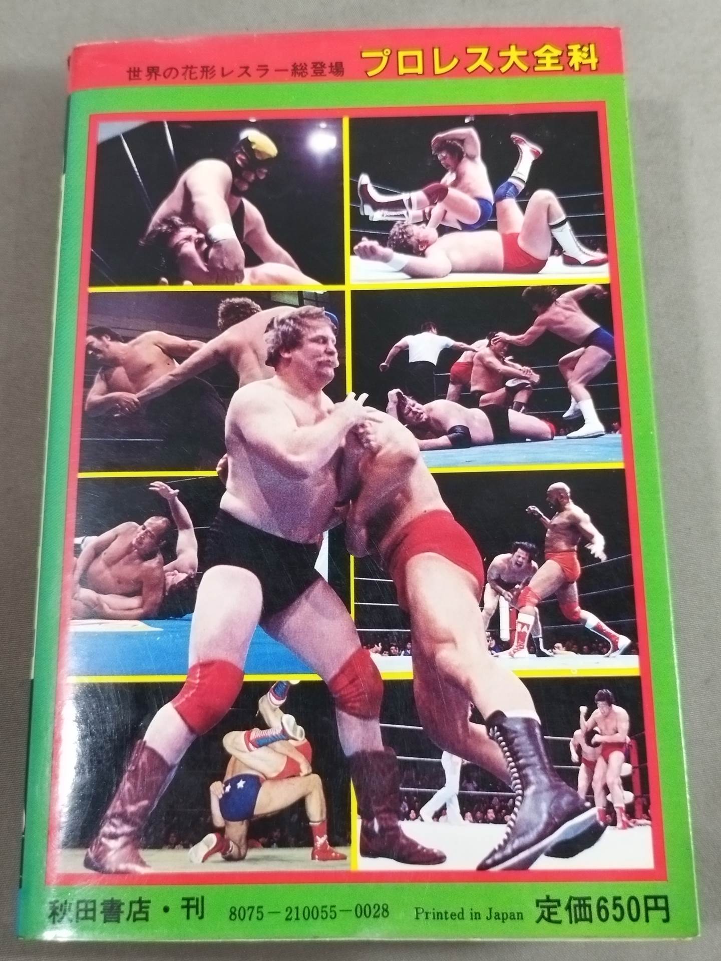 Pro Wrestling