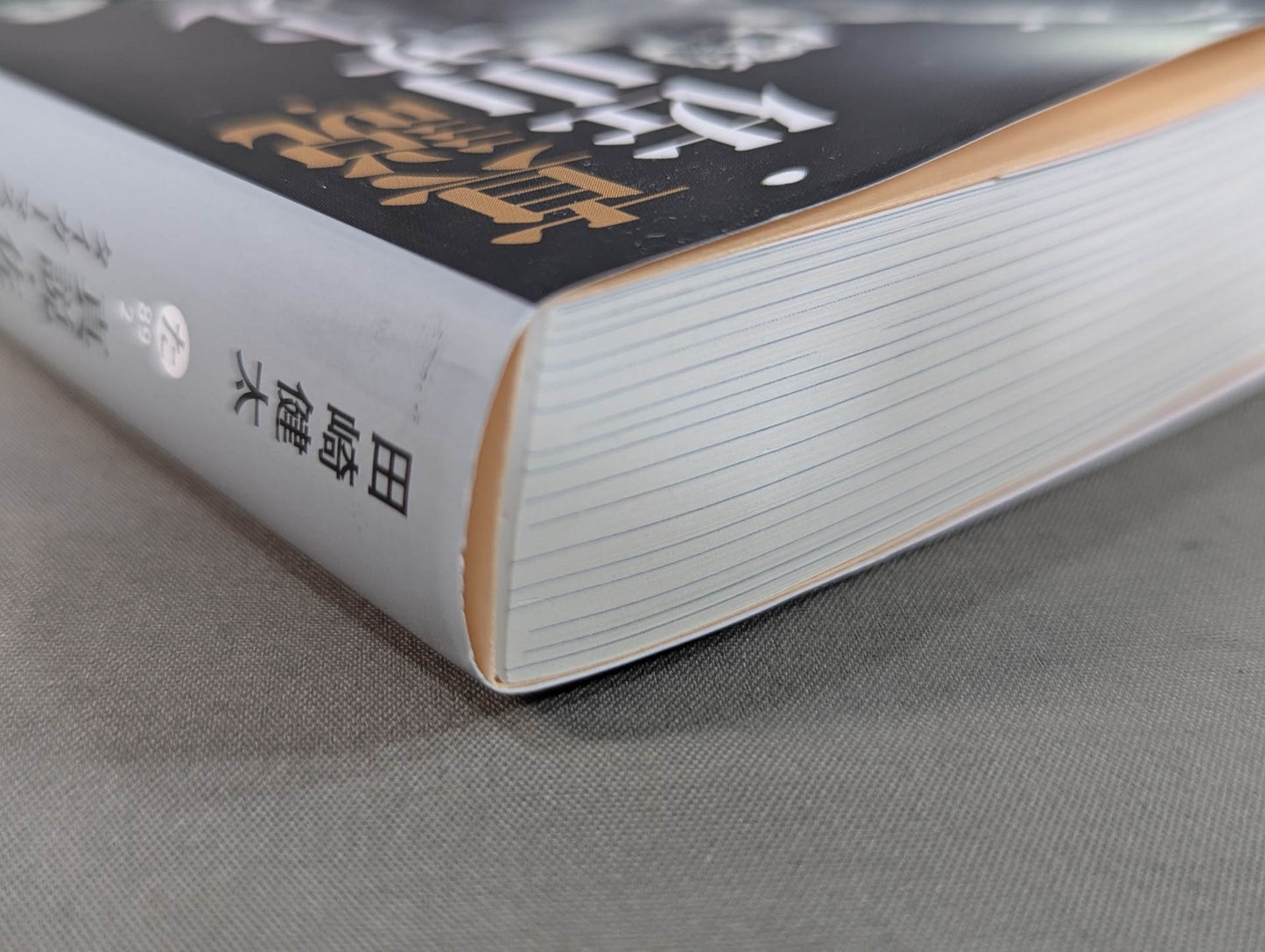 True theory: Satoru Sayama  The Man Called Tiger Mask