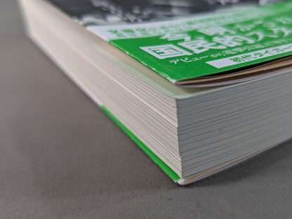 True theory: Satoru Sayama  The Man Called Tiger Mask