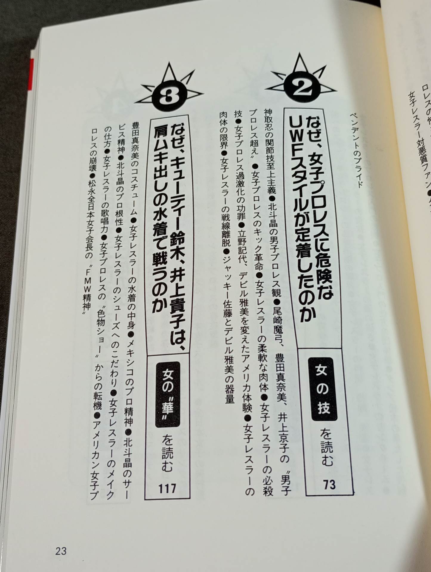 ポケットブック51 女子プロレスの読み方