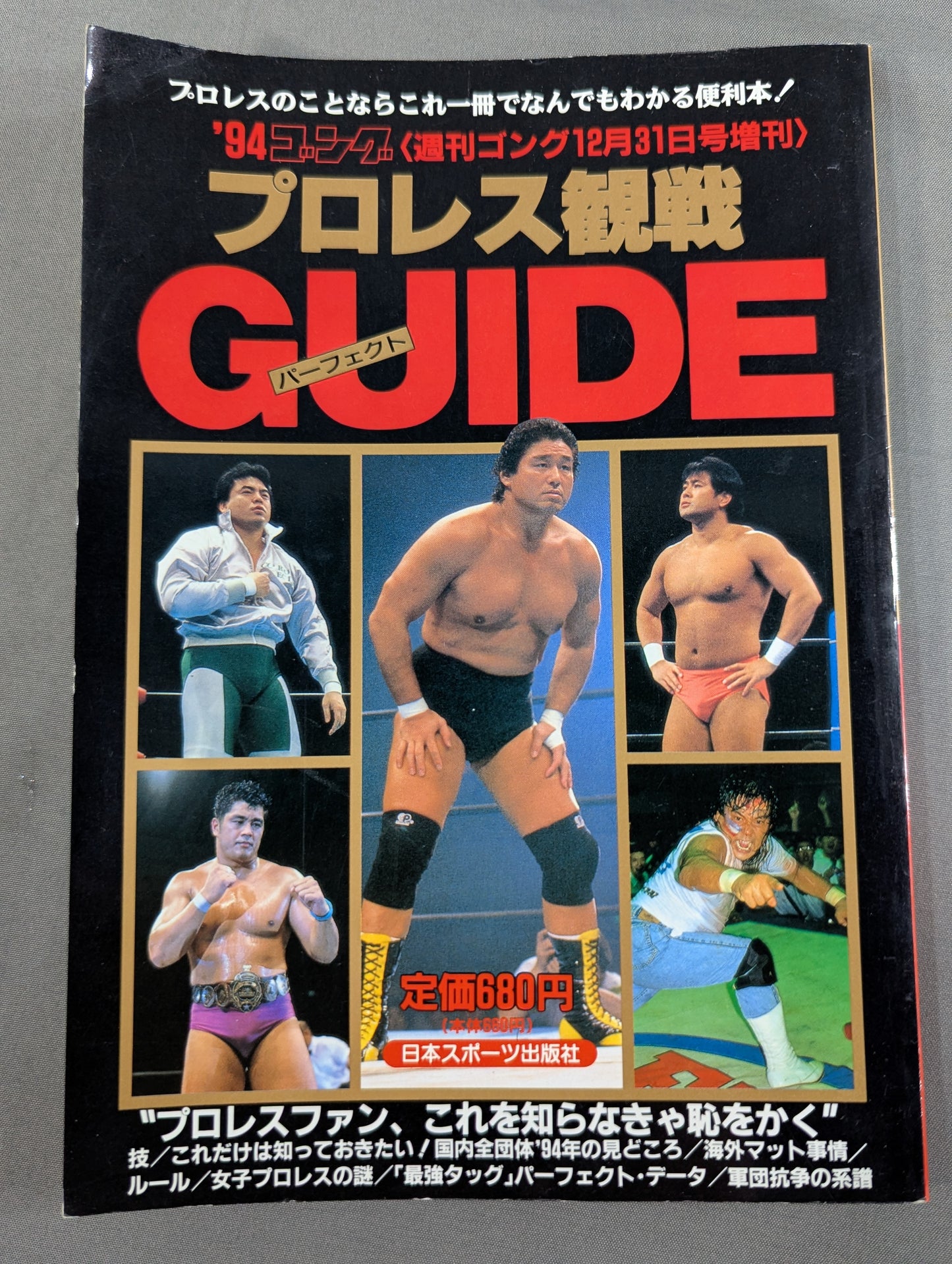 94ゴング プロレス観戦パーフェクトガイド