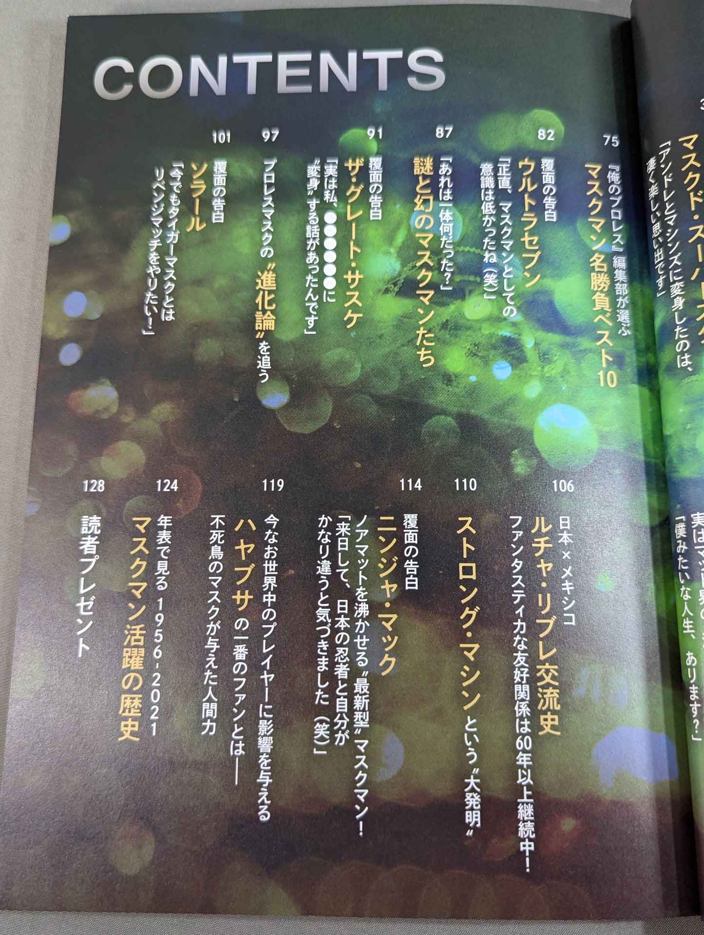 My Pro Wrestling  vol.04 Masked Confession What was happening at that time?