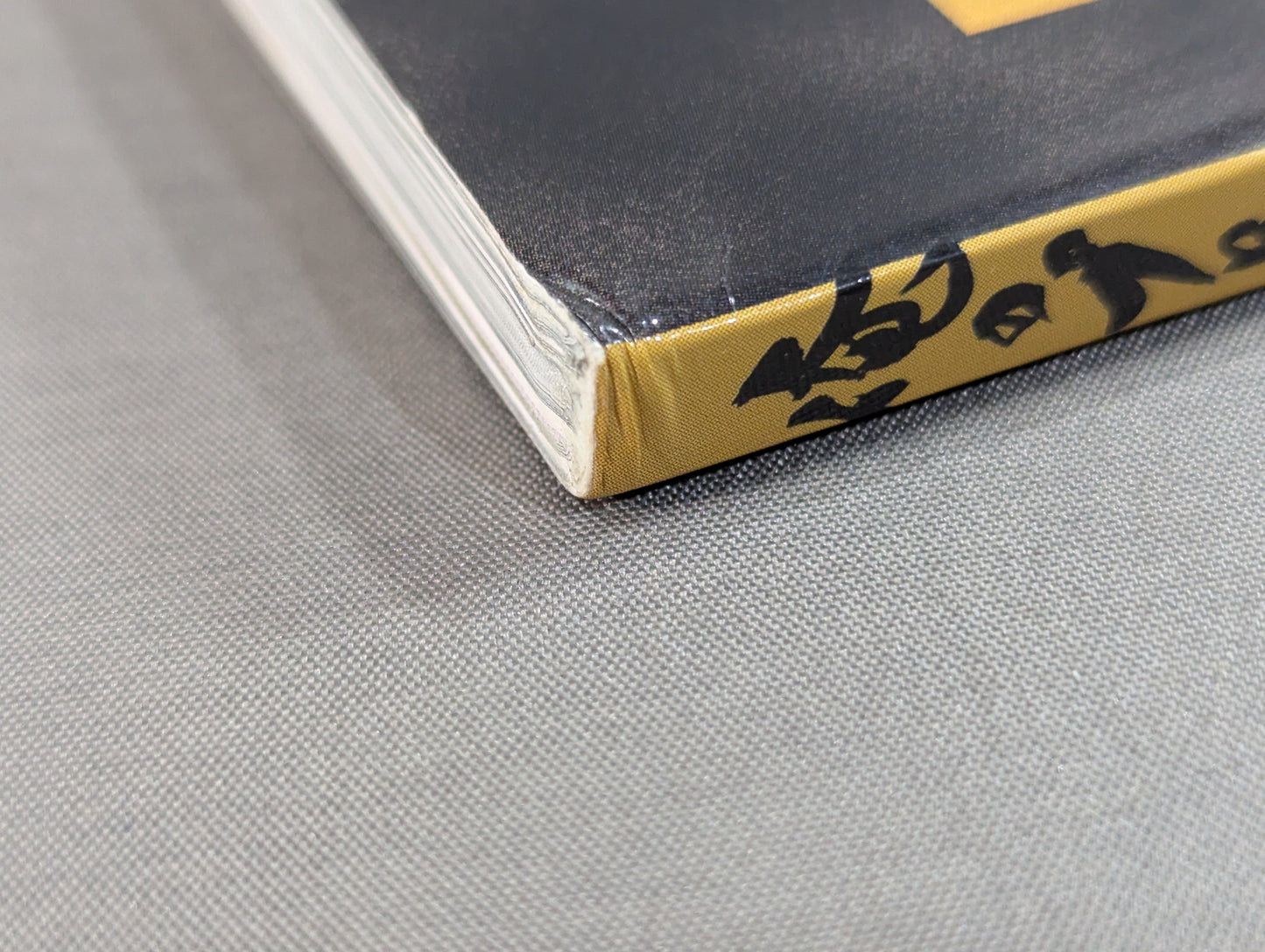 My Pro Wrestling  vol.04 Masked Confession What was happening at that time?