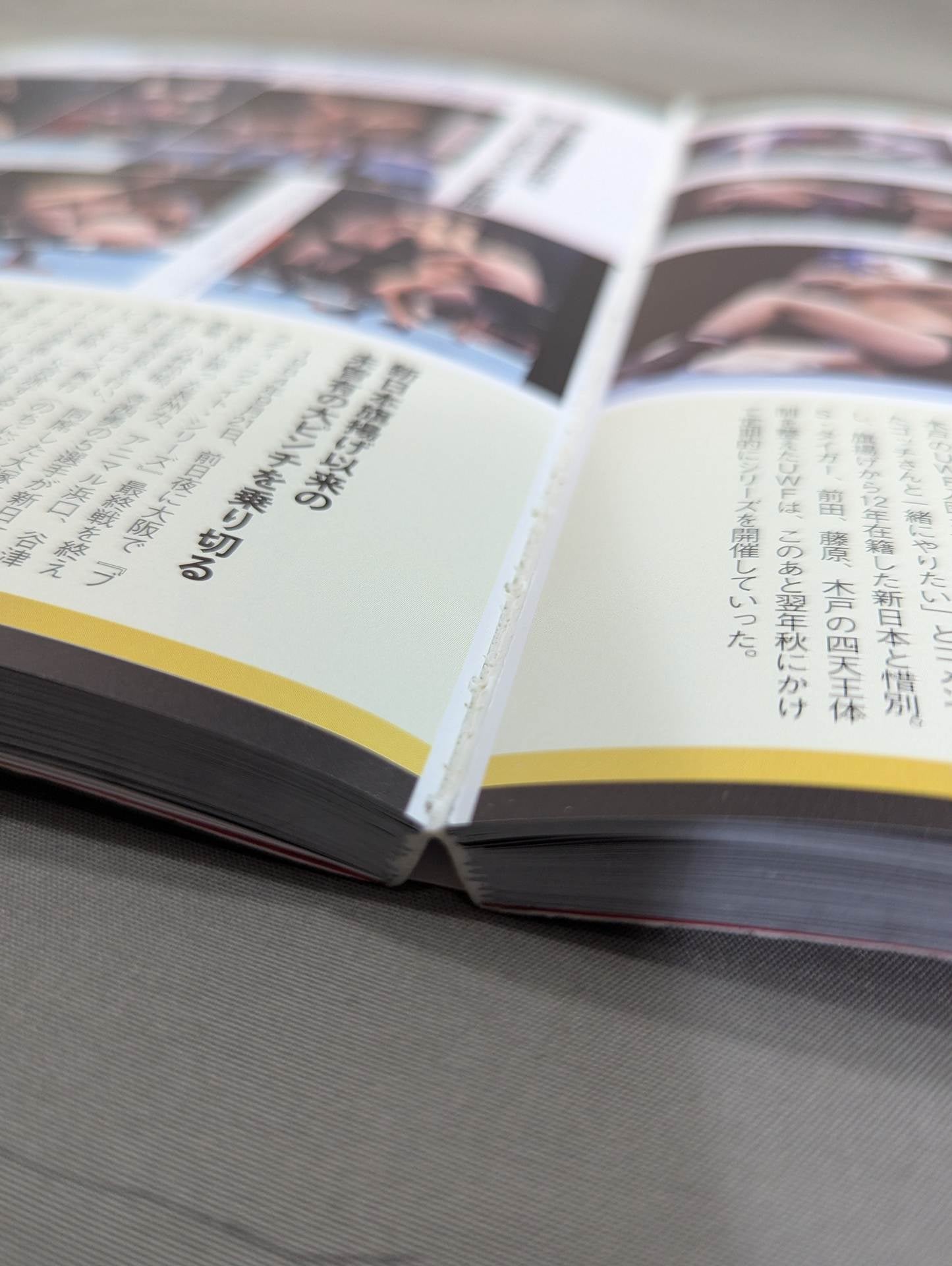 日本プロレス名勝負大全集 昭和・平成・令和の激闘史 – 闘道館