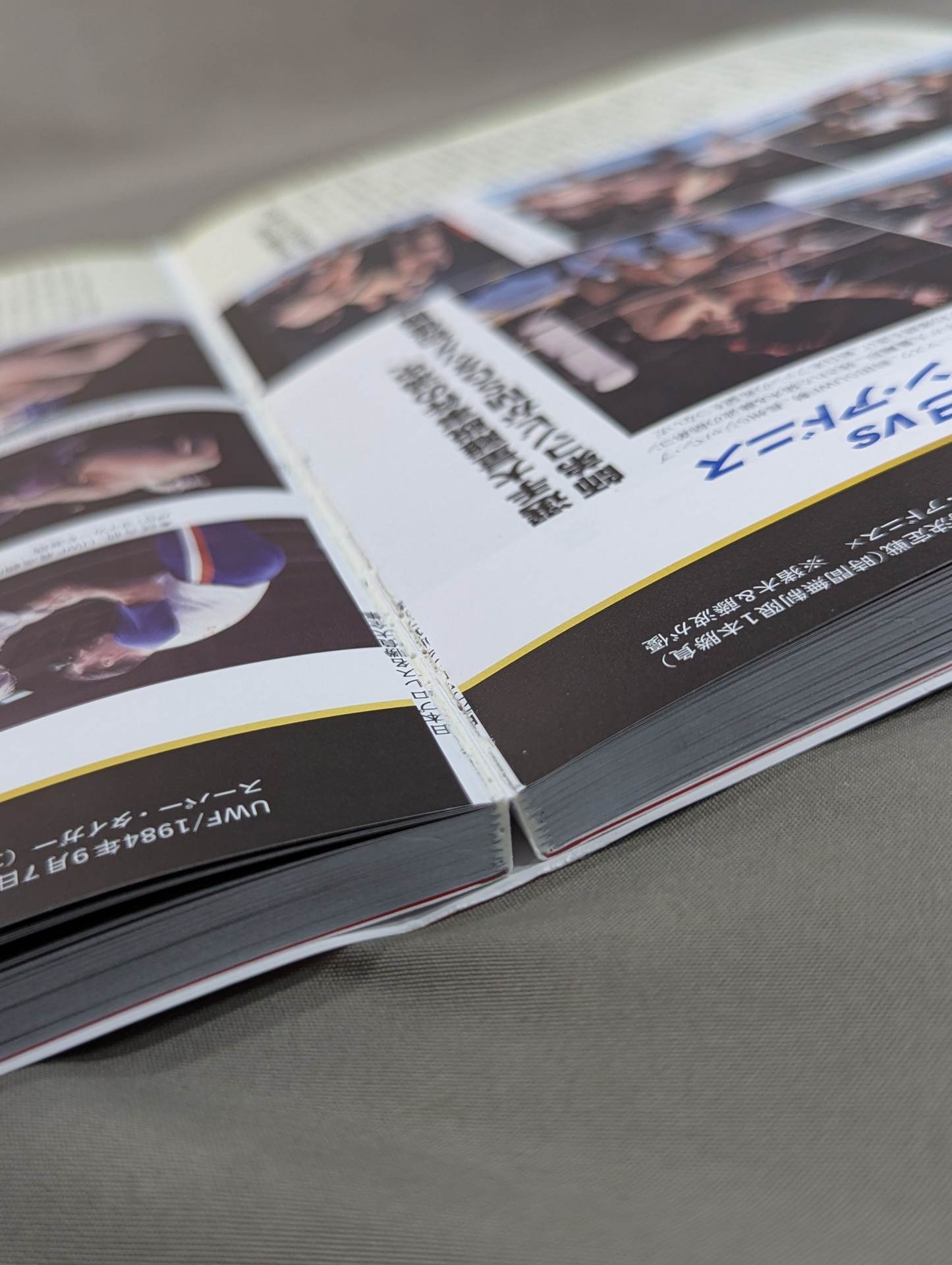 Japan Pro Wrestling Famous Matches Complete Collection of Fierce Battles in Showa, Heisei, and Reiwa