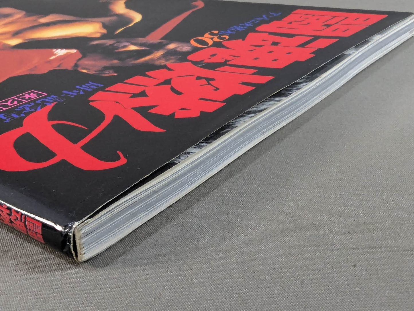 Fighting Spirit Burning Antonio Inoki  30th Anniversary Photo  Collection
