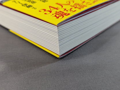 俺たちのプロレス名勝負読本 人生に必要なことはすべてプロレスから学んだ