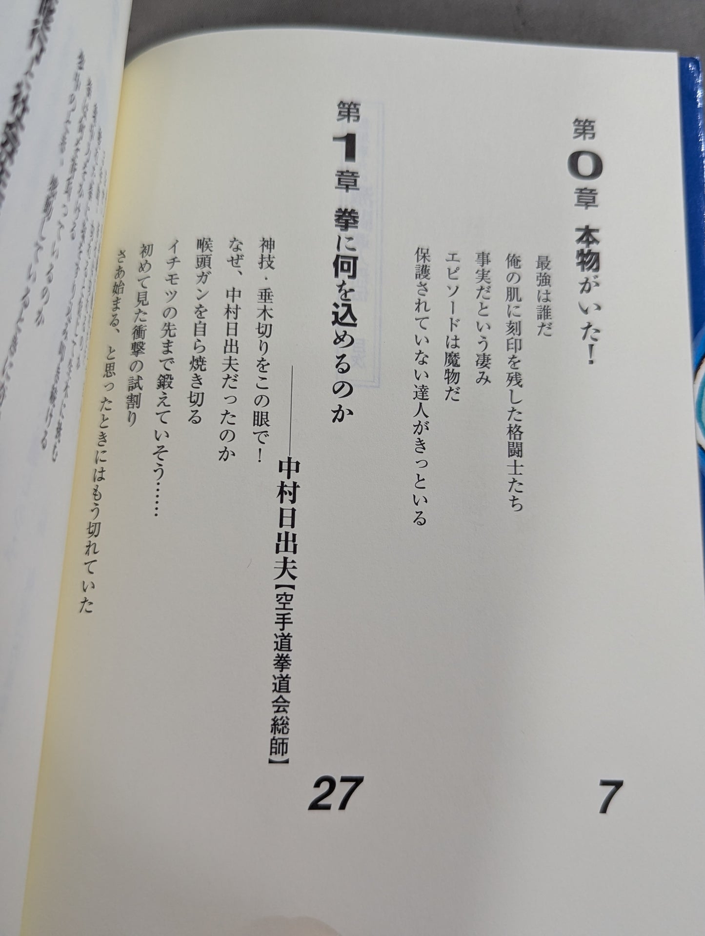 Keisuke Itagaki's Fierce Fighting Guru Retsuden