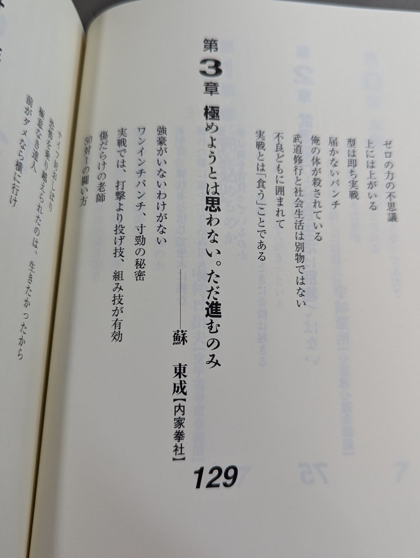 Keisuke Itagaki's Fierce Fighting Guru Retsuden