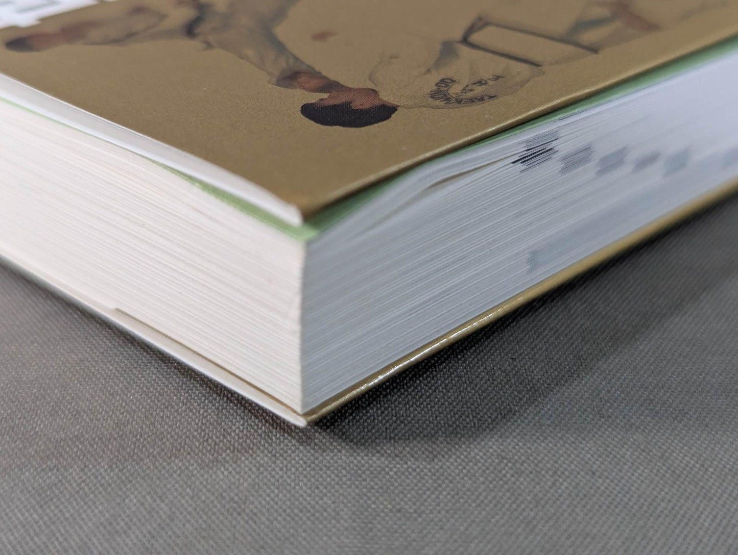 【DVD付】テコンドーに関してはこの本が最高峰