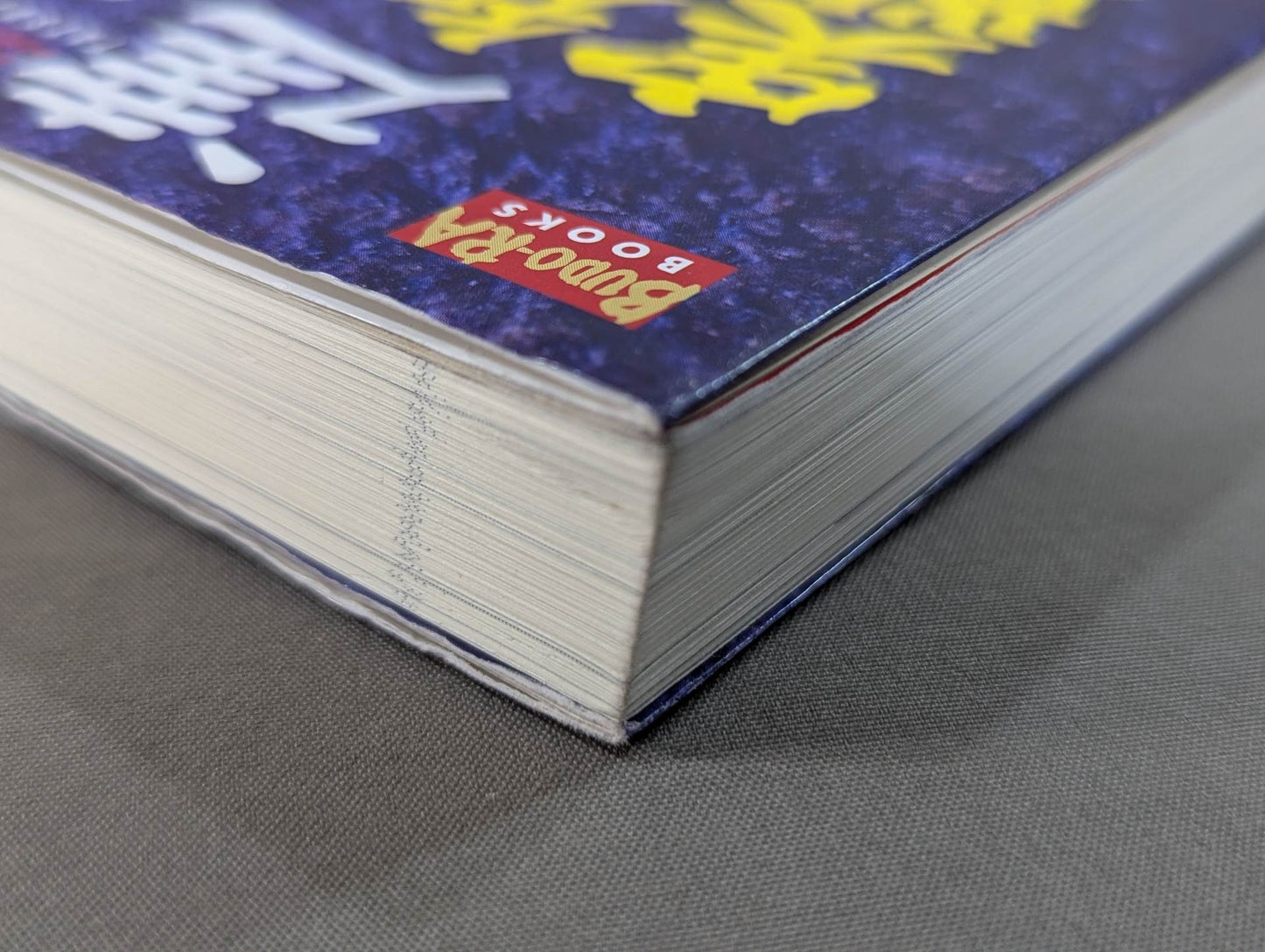 【DVD付】達人シリーズ第参巻 中国武術 知られざる実戦世界