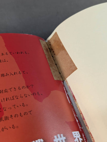 【DVD付】達人シリーズ第参巻 中国武術 知られざる実戦世界