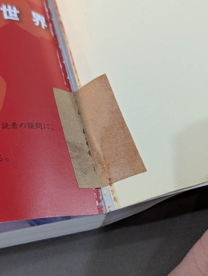 【DVD付】達人シリーズ第参巻 中国武術 知られざる実戦世界