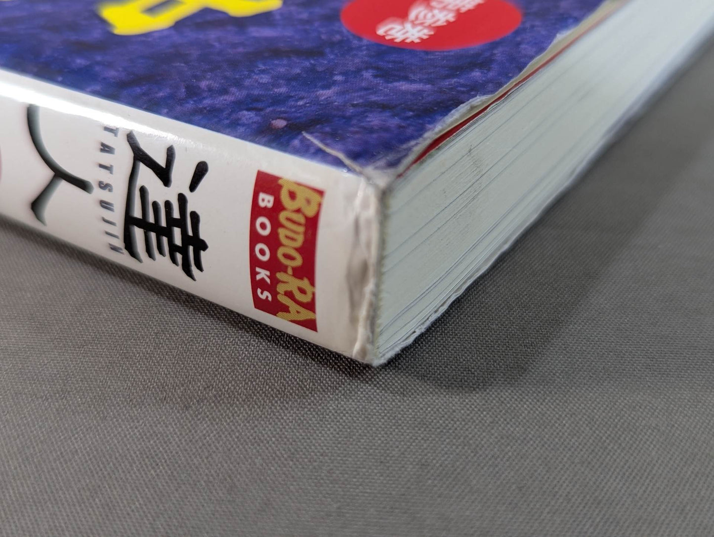 【DVD付】達人シリーズ第参巻 中国武術 知られざる実戦世界