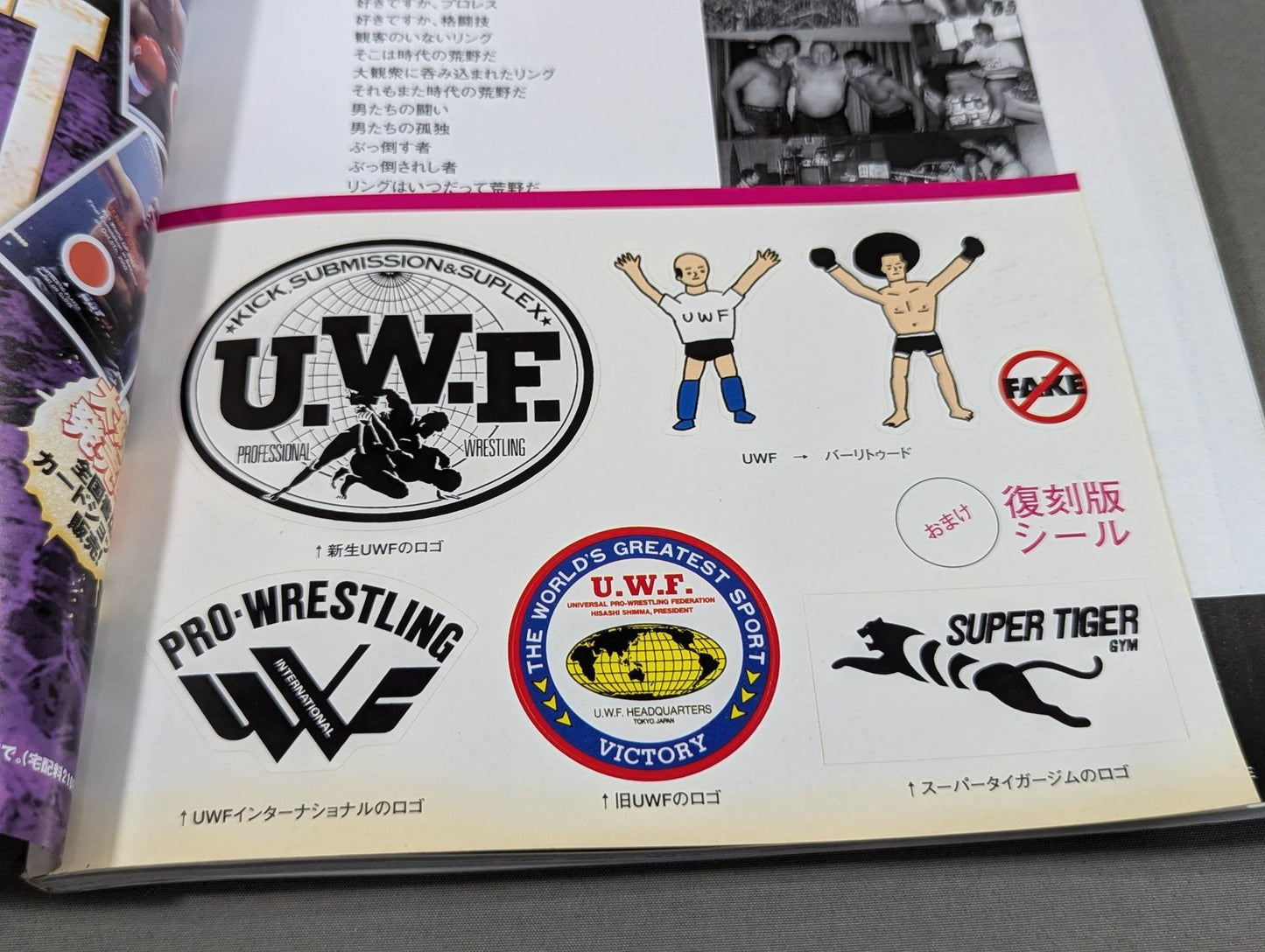 UWF→PRIDE 20 Years of Mixed Martial Arts 1984→2003