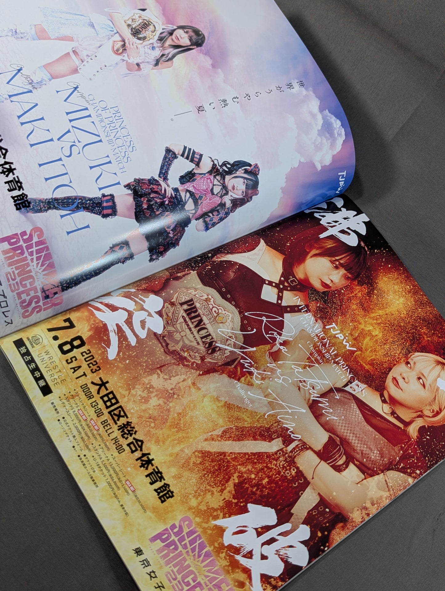 TJPW ビジュアルコンプリートBOOK vol.4