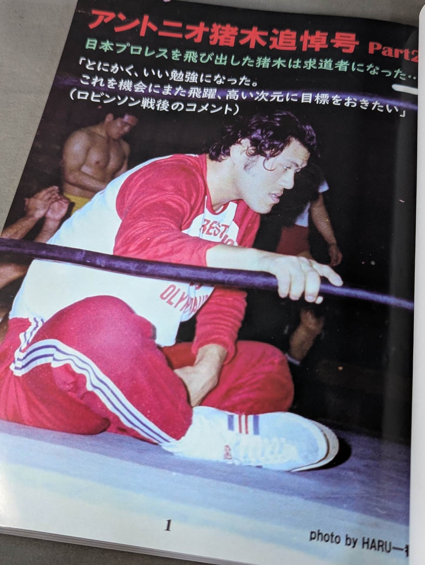 ミック博士の昭和プロレスマガジン第60号 ☆アントニオ猪木追悼号