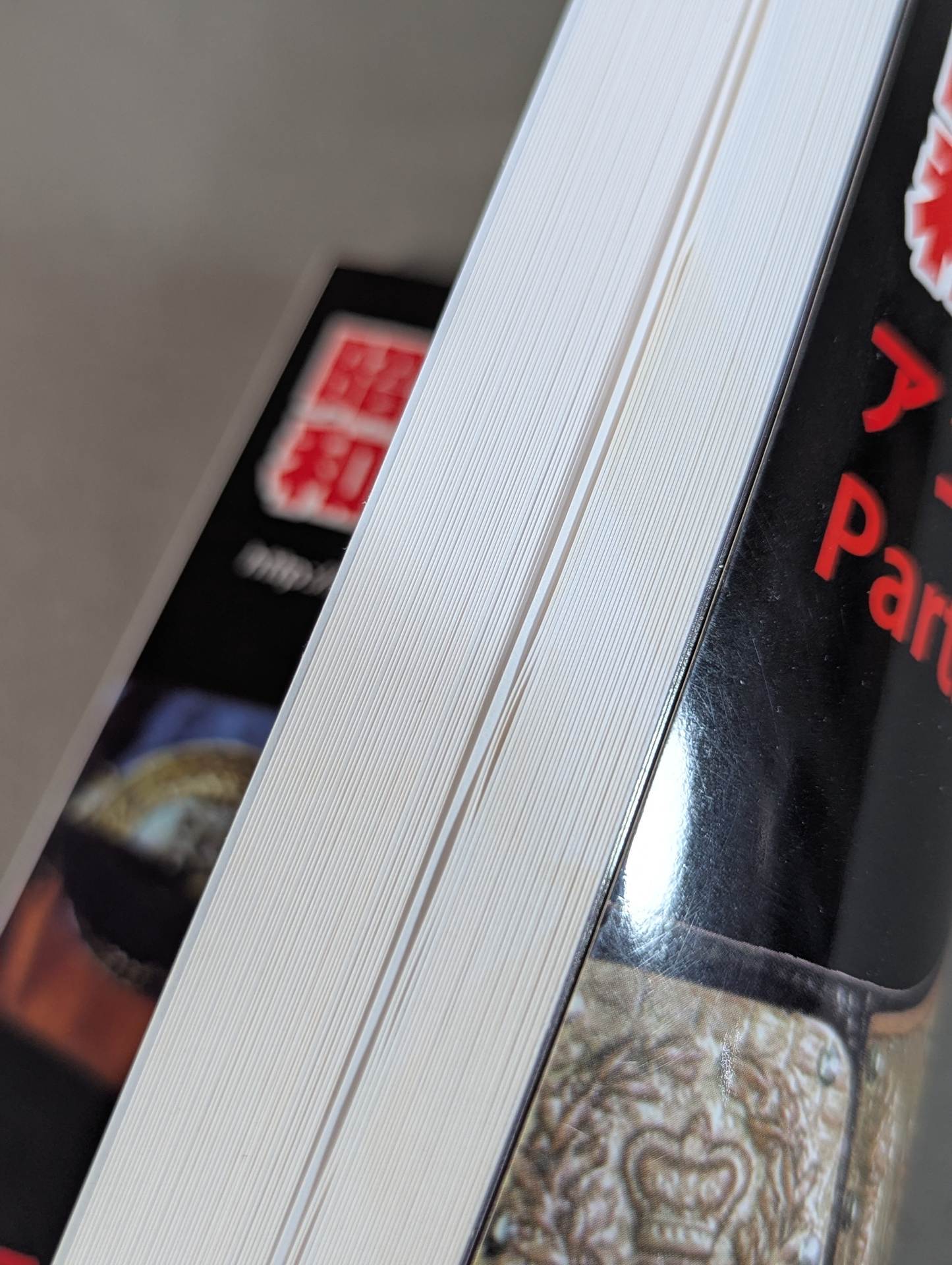 Dr. Mick's Showa Pro Wrestling Magazine No. ★ 60 Antonio Inoki Memorial Number PART2★