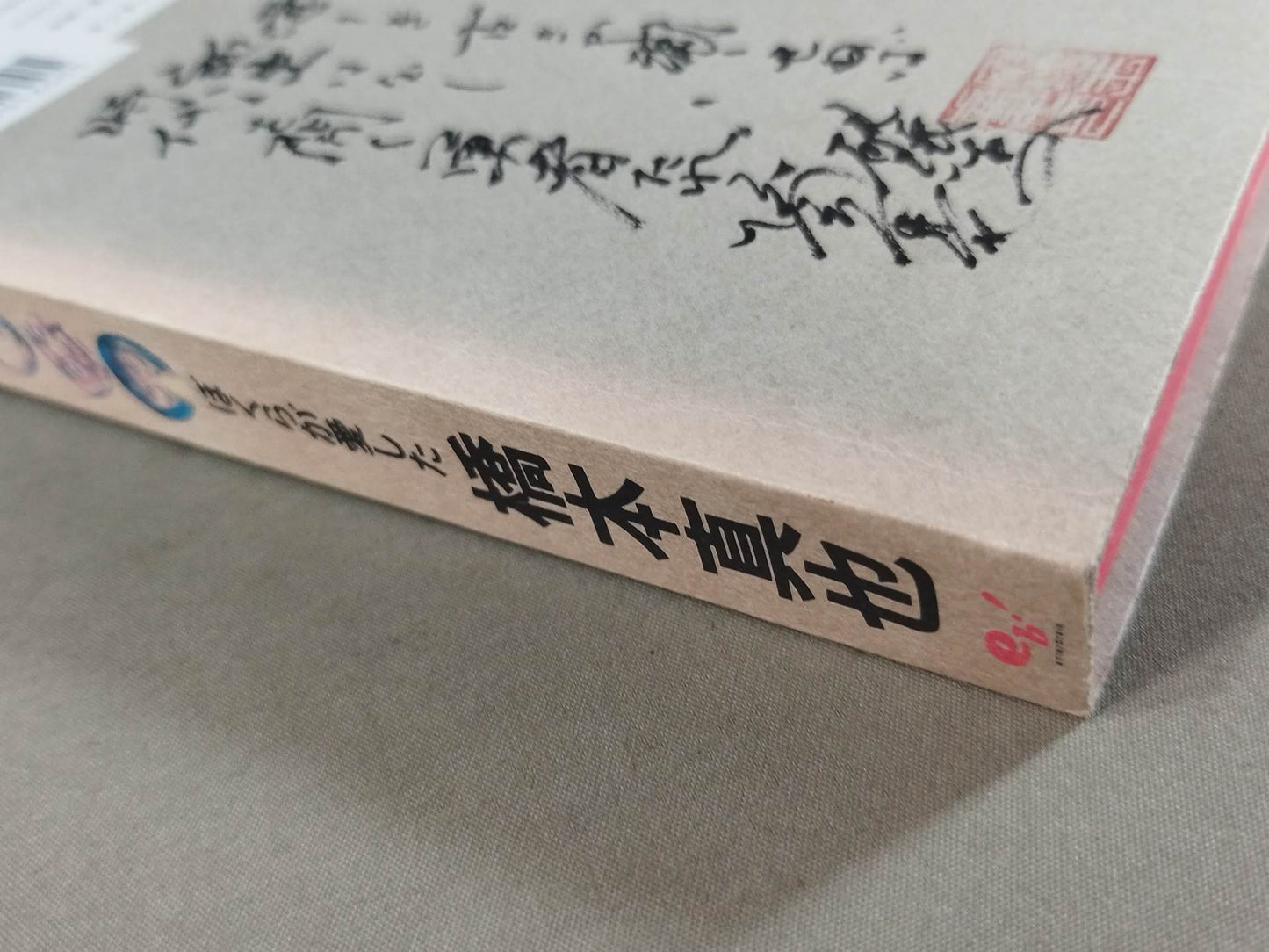 紙の破壊王 ぼくらが愛した橋本真也