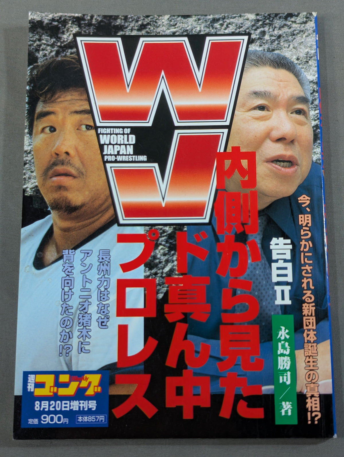 Confession II: WJ Do-Center Pro Wrestling Seen from the Inside