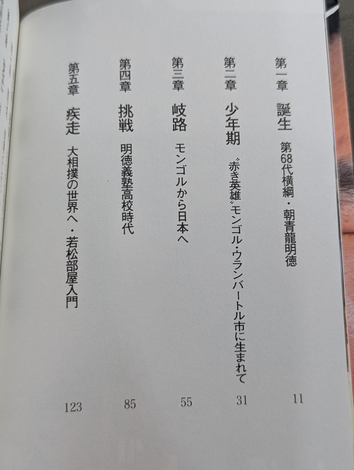Dorji: The True Face of Yokozuna Asashoryu