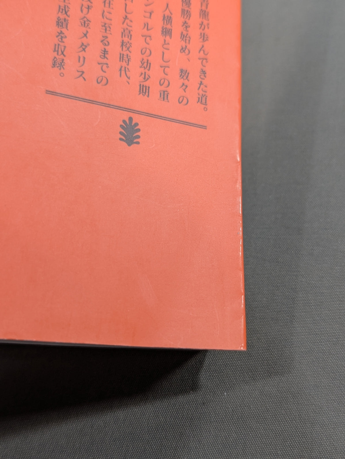 Dorji: The True Face of Yokozuna Asashoryu