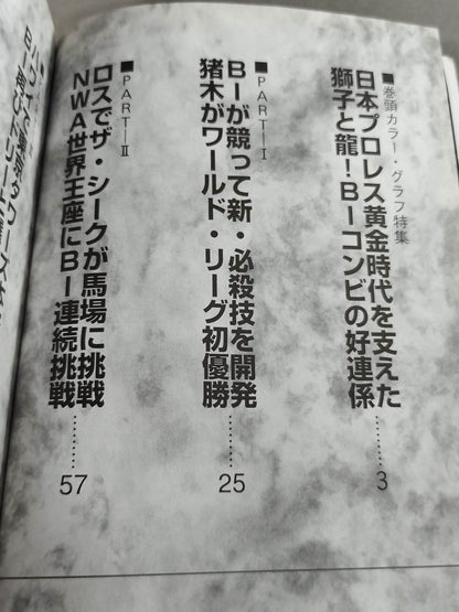ジャイアント馬場vsアントニオ猪木 1891日間の蜜月冷戦 下巻
