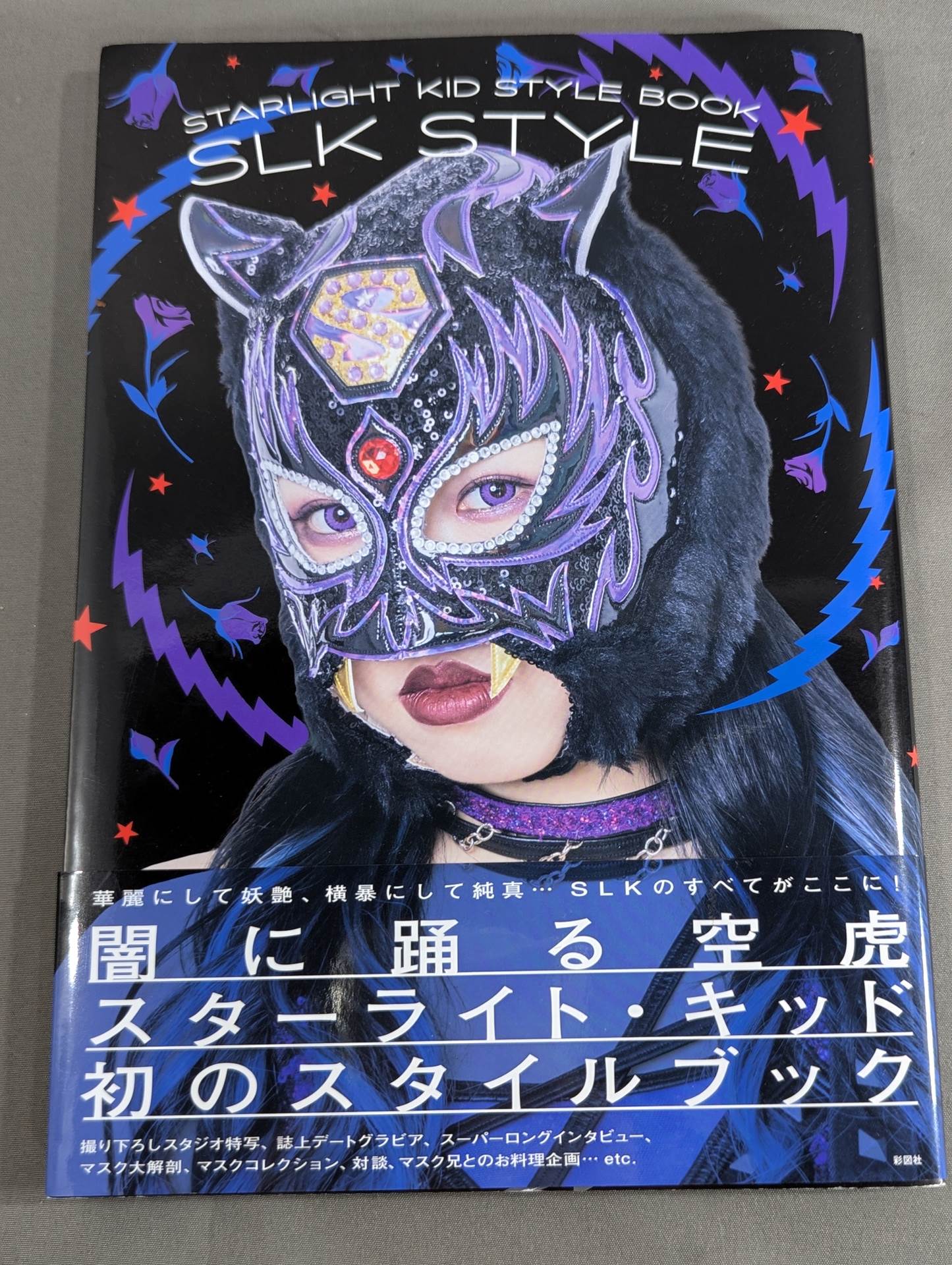 style book アート/エンタメ