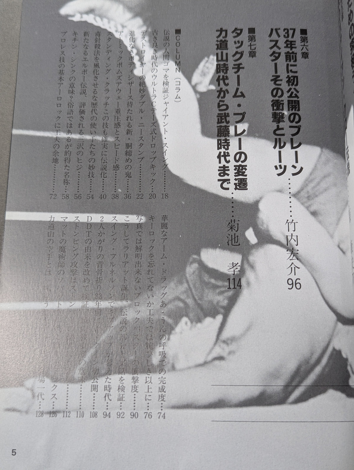 Pro Wrestling Skill MOOK