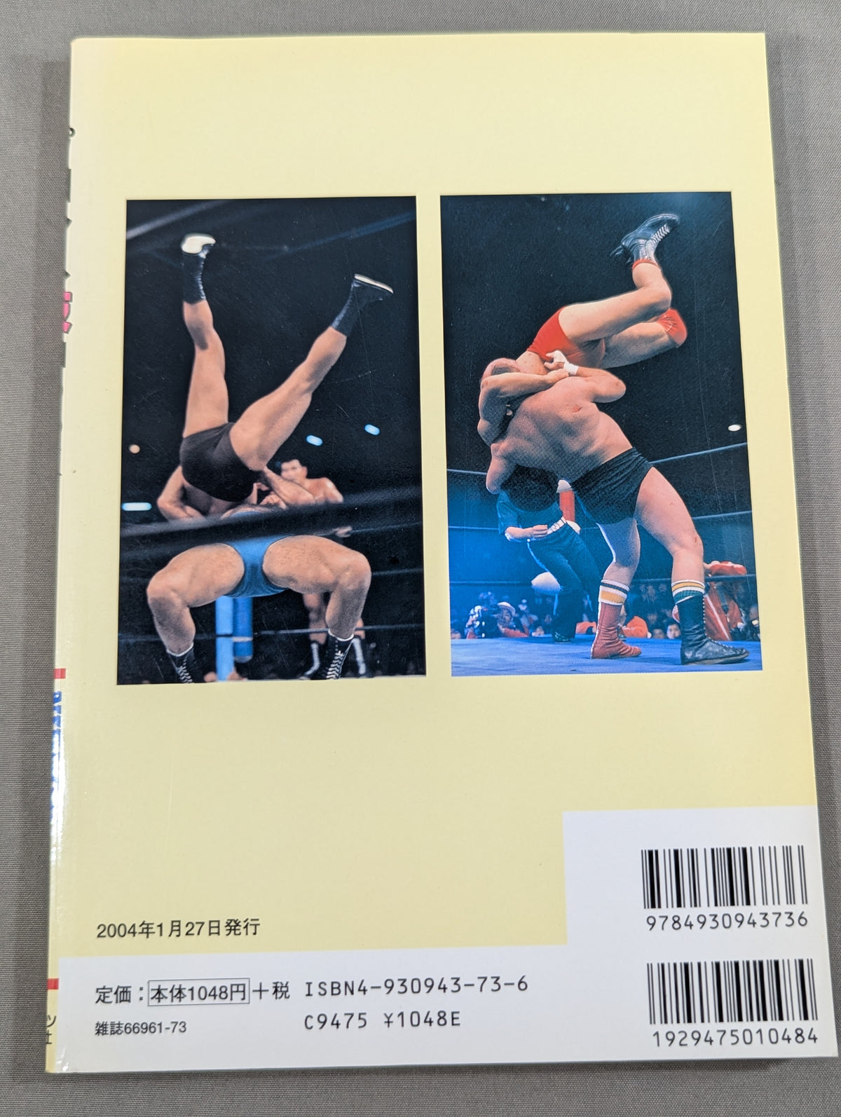 Pro Wrestling Skill MOOK