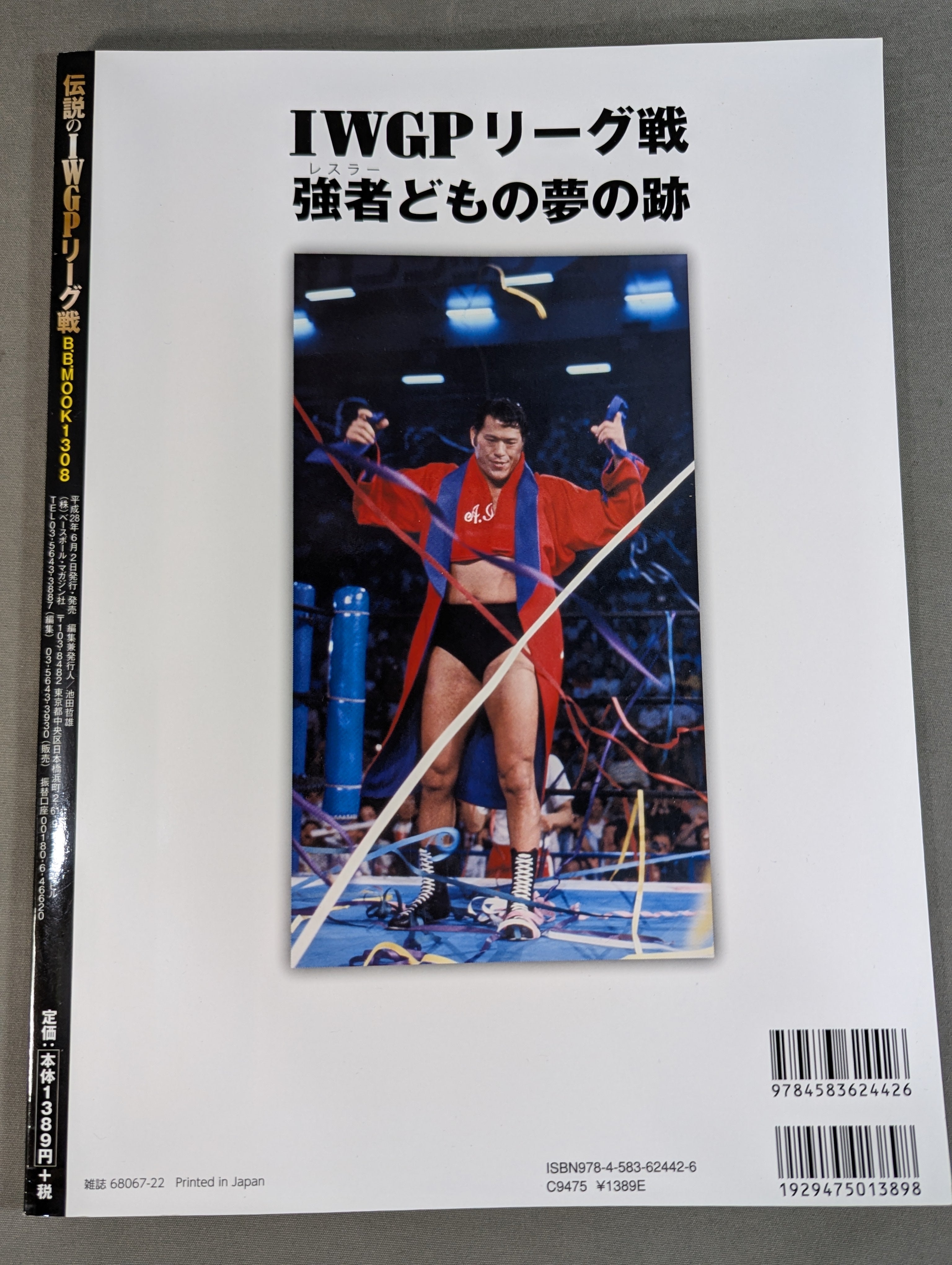 伝説のIWGPリーグ戦 – 闘道館