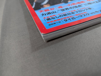 History of Japan Pro Wrestling  Vol.7 Spring Book Location