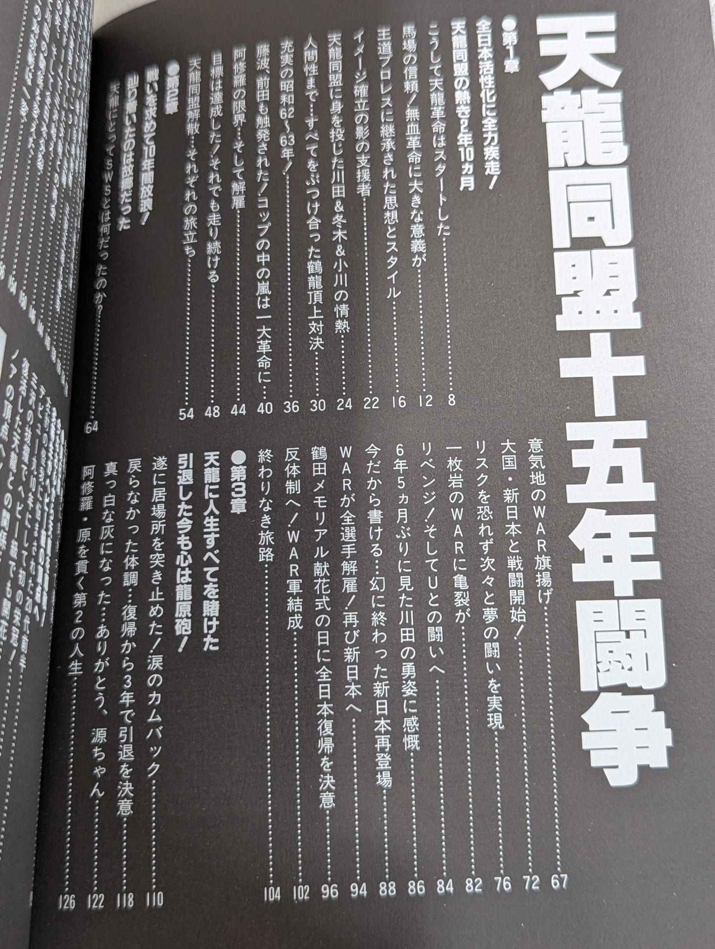 Tenryu Alliance Fifteen Years Struggle
