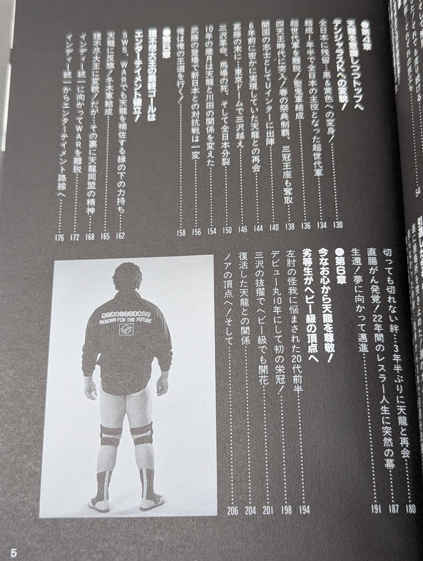 Tenryu Alliance Fifteen Years Struggle