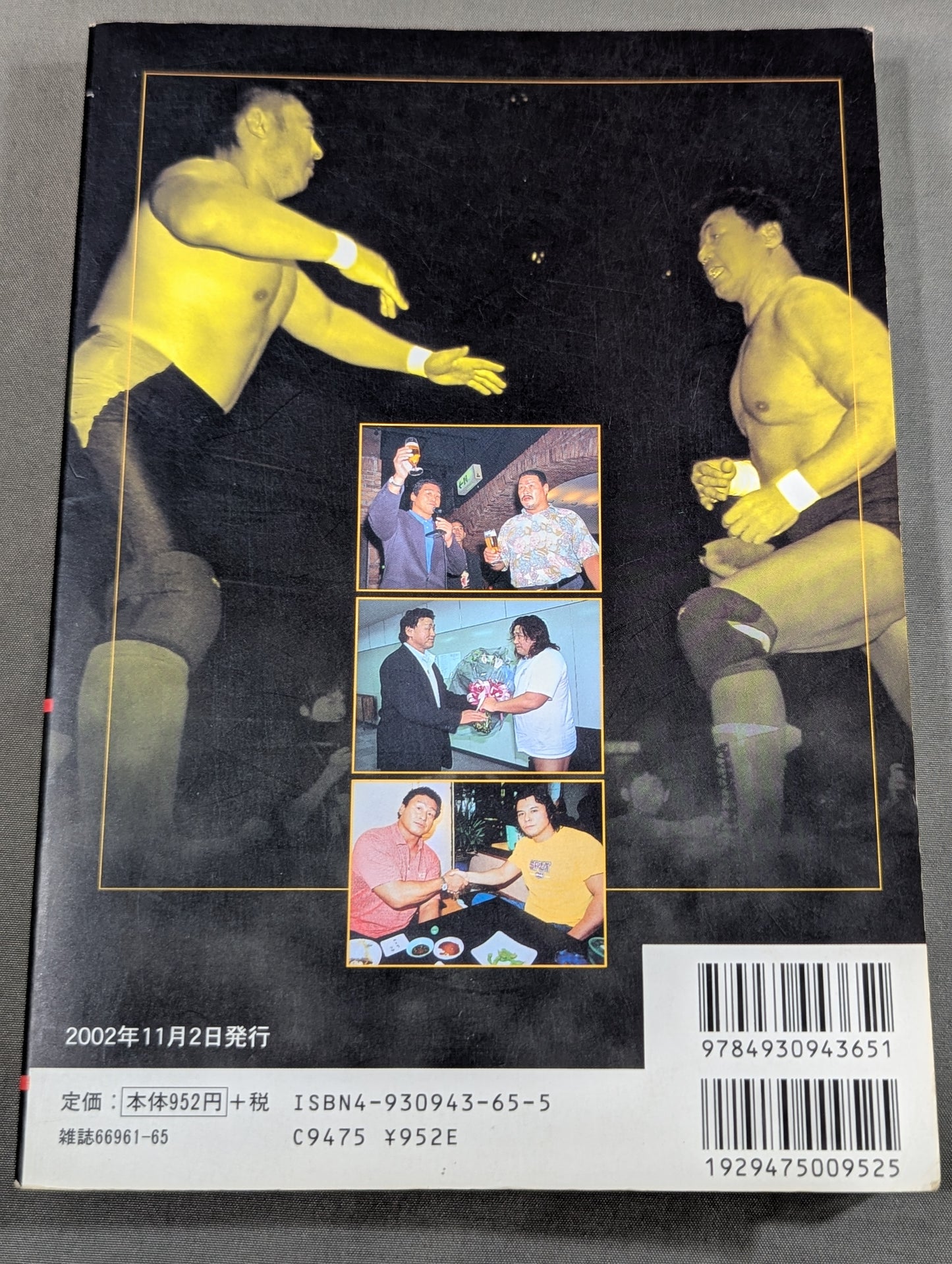 Tenryu Alliance Fifteen Years Struggle