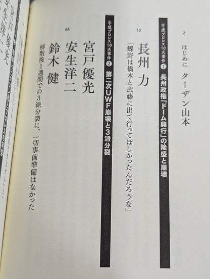 告白 平成プロレス10大事件 最後の真実