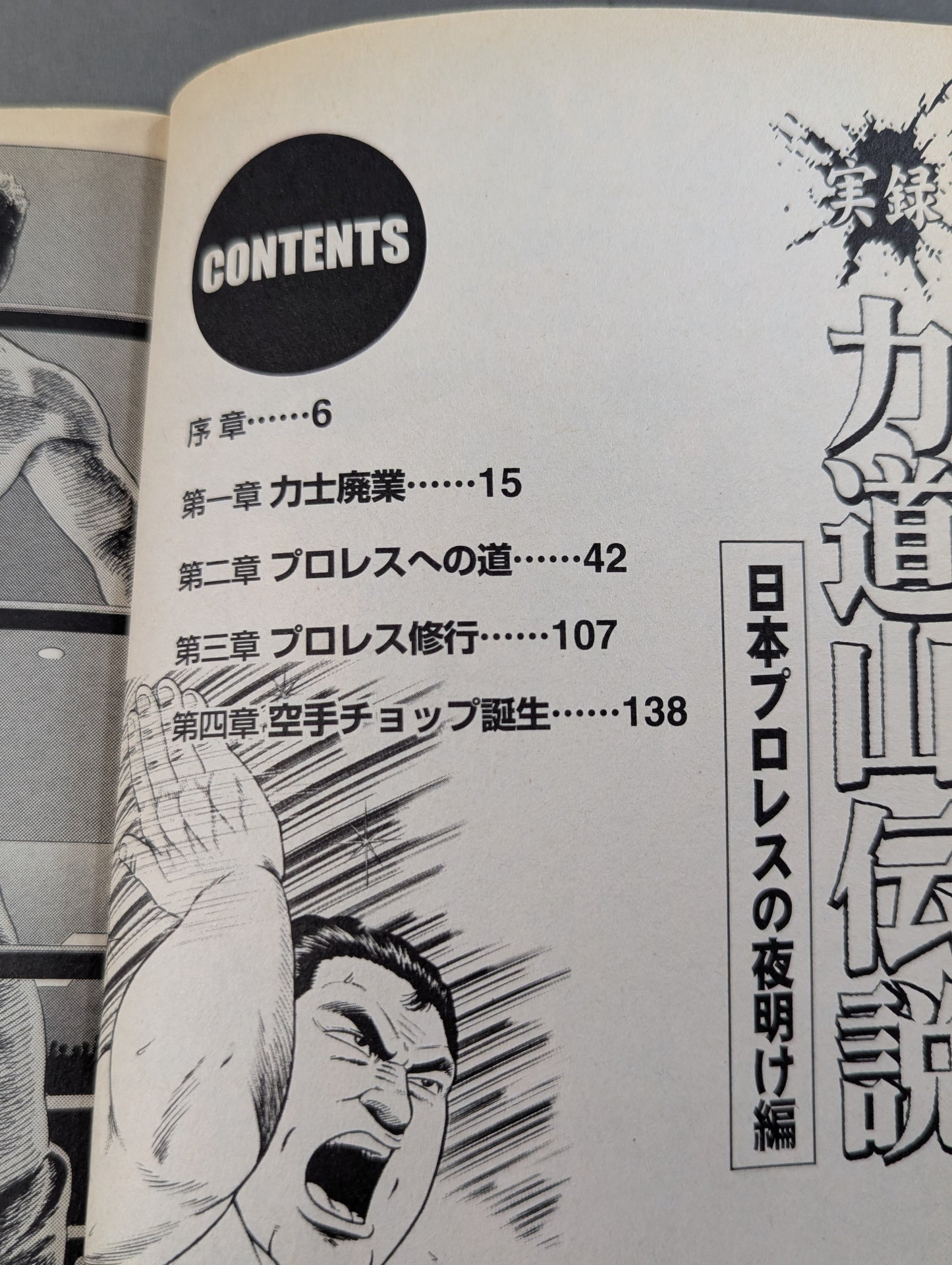 True Story Rikidozan Legend Japan Pro Wrestling Dawn of
