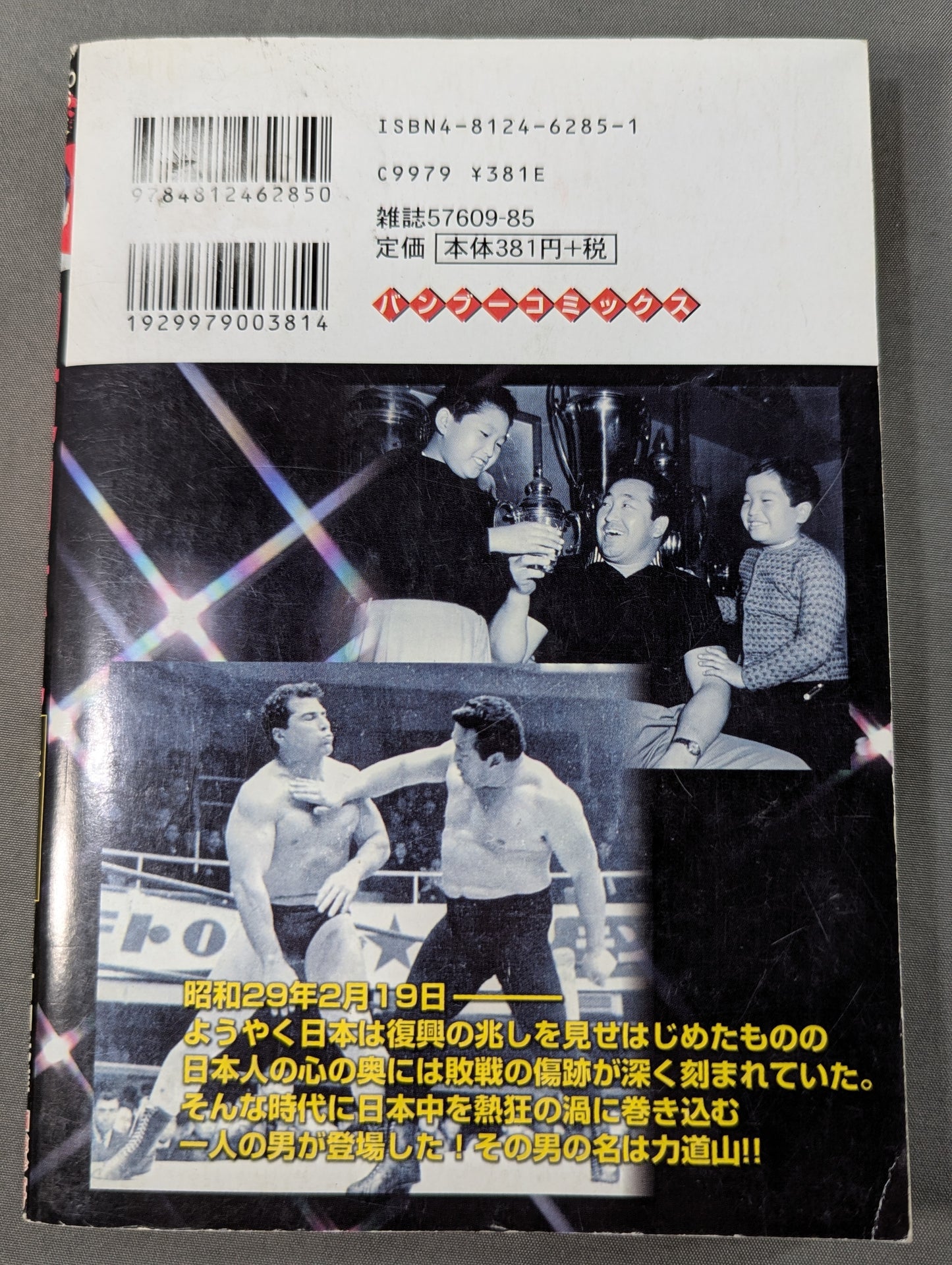 True Story Rikidozan Legend Japan Pro Wrestling Dawn of