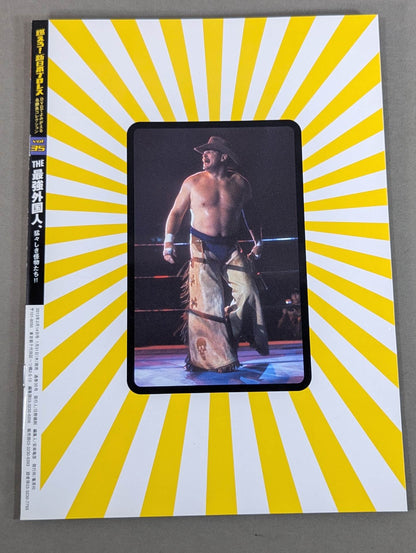 燃えろ!新日本プロレス vol.35